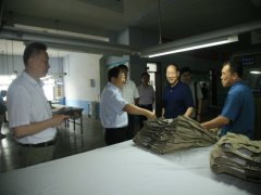 市人大領導一行來公司調(diào)研