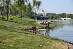 創(chuàng)建文明城 我們?cè)谛袆?dòng)